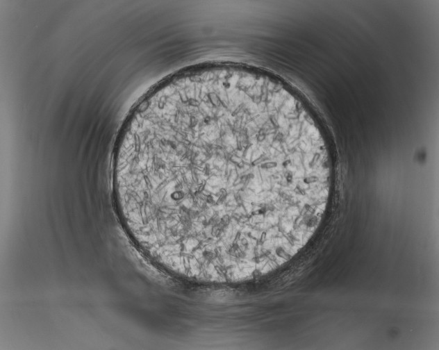 X0000114590791200911301358
