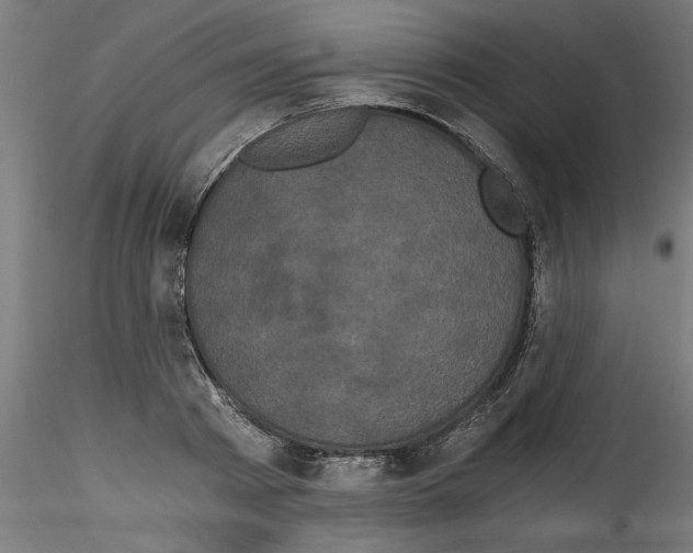 X0000114590793200911301358