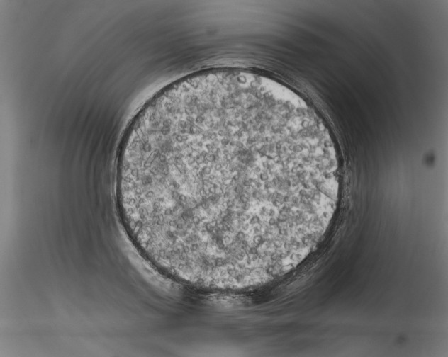 X0000114590795200911301358