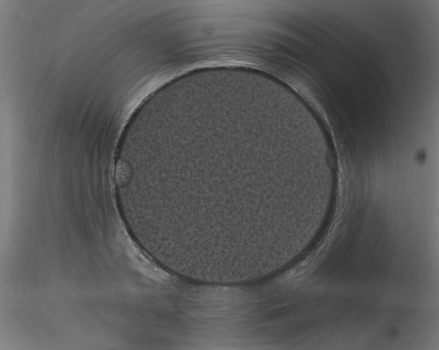 X0000114590797200911301358