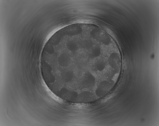 X0000114590803200911301358