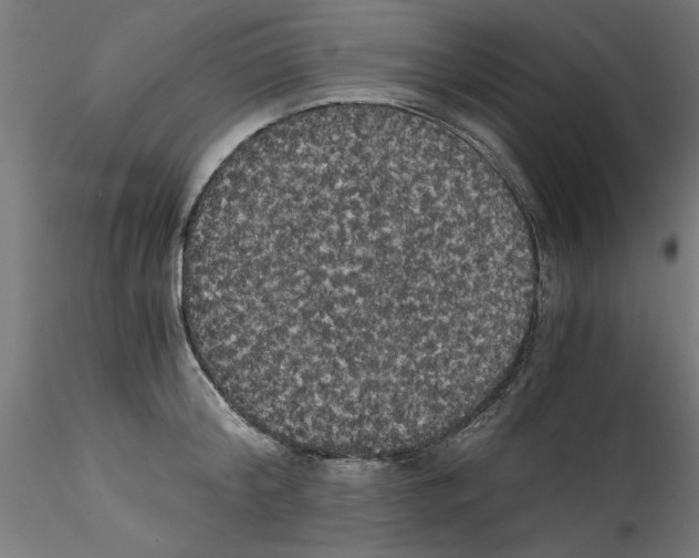 X0000114590804200911301358