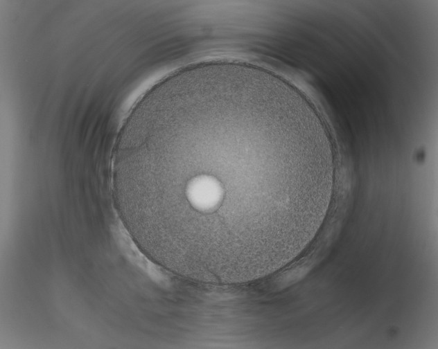 X0000114590807200911301358