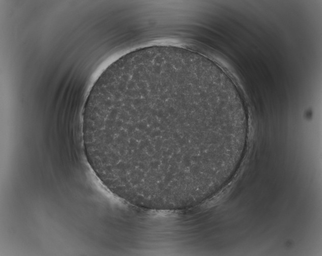 X0000114590808200911301358