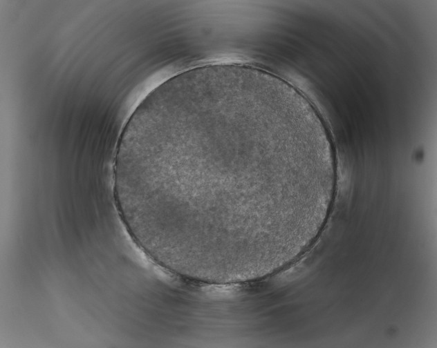 X0000114590810200911301358