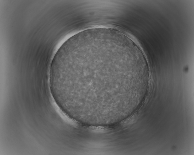 X0000114590811200911301358