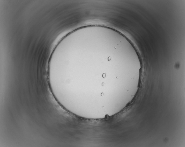 X0000114590815200911301358