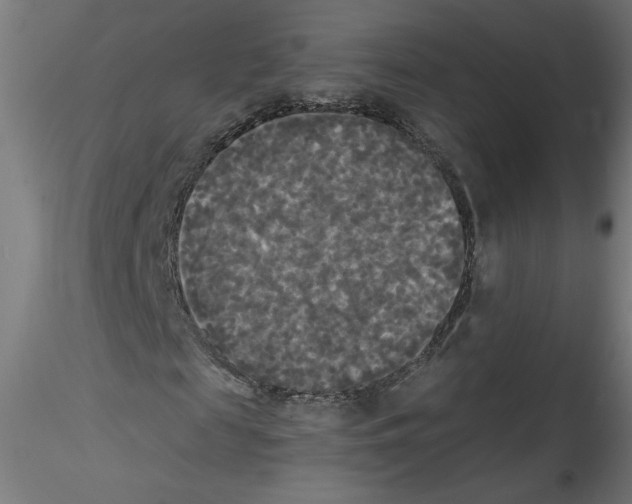 X0000114590817200911301357