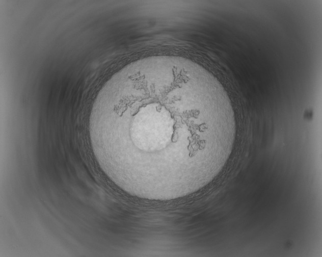 X0000114590820200911301357