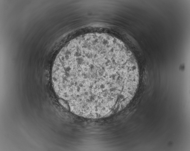 X0000114590821200911301357