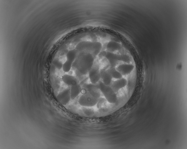 X0000114590823200911301357