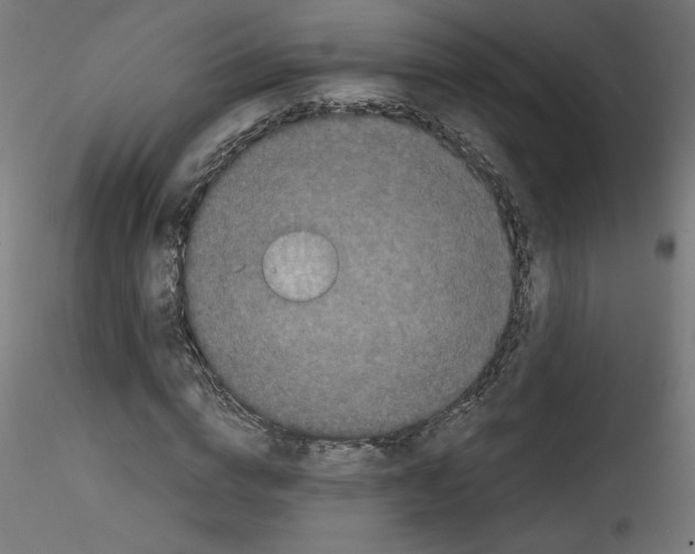 X0000114590824200911301357