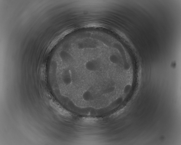 X0000114590825200911301357