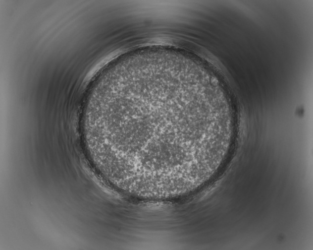X0000114590826200911301357