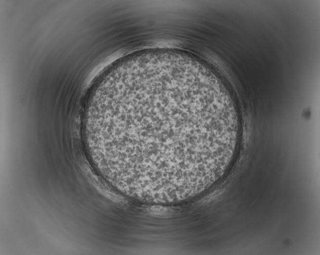 X0000114590827200911301357