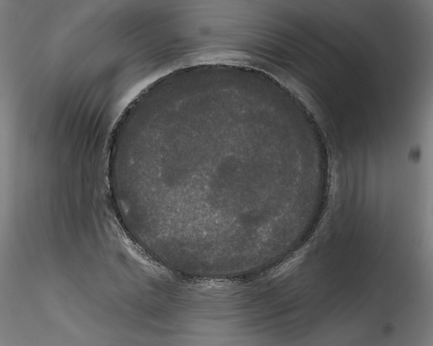 X0000114590830200911301357