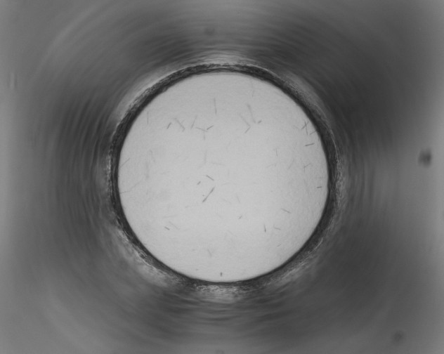 X0000114590831200911301357