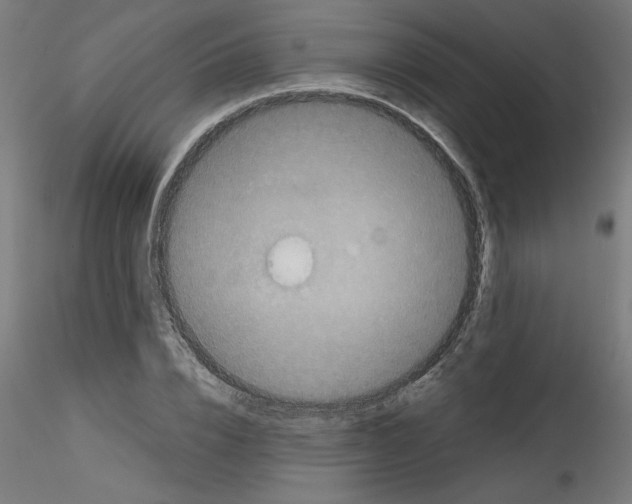 X0000114590832200911301357