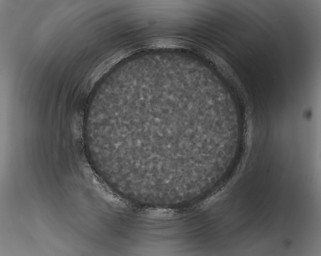 X0000114590833200911301357