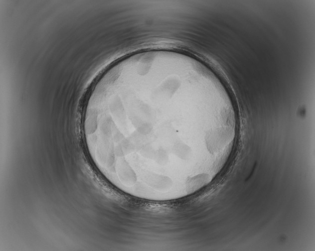X0000114590835200911301357