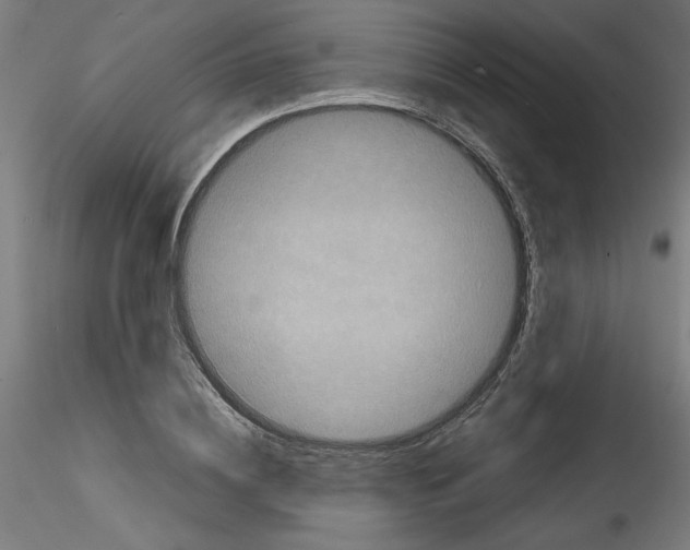 X0000114590836200911301357