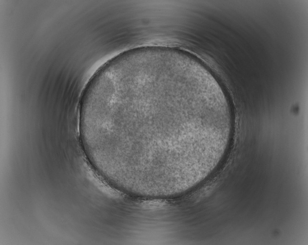 X0000114590838200911301357