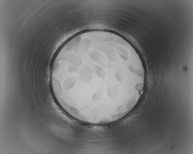 X0000114590839200911301357