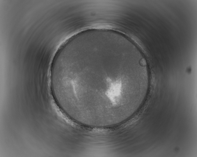 X0000114590840200911301357