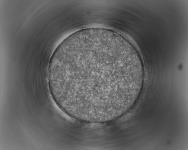 X0000114590847200911301358
