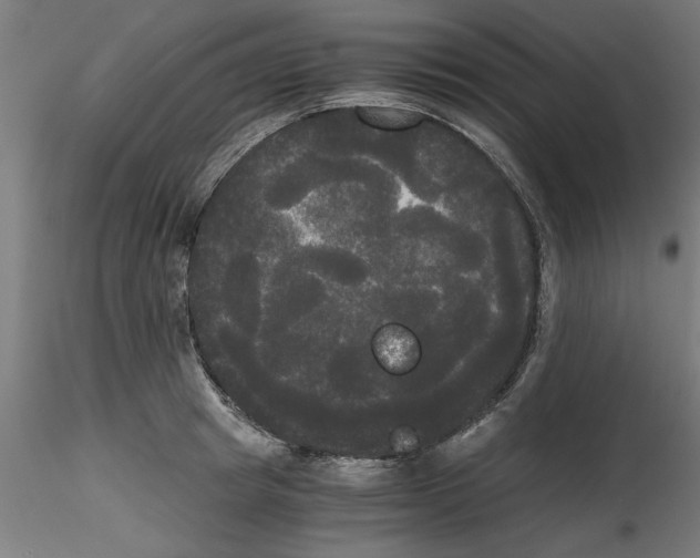 X0000114590849200911301358