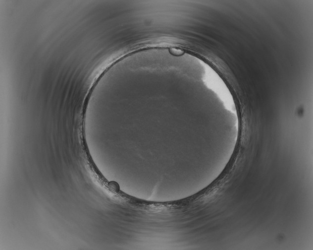 X0000114590850200911301358
