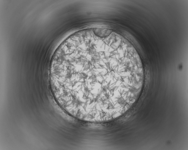 X0000114590852200911301358
