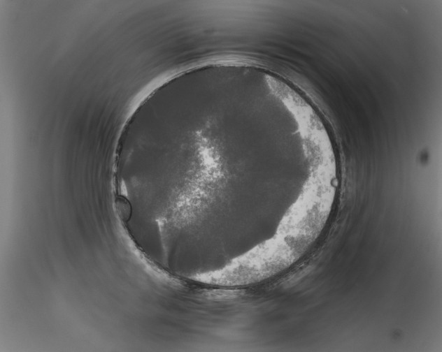 X0000114590853200911301358