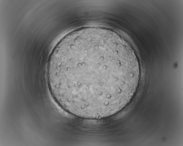 X0000114590855200911301358
