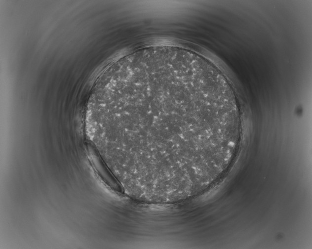 X0000114590857200911301358