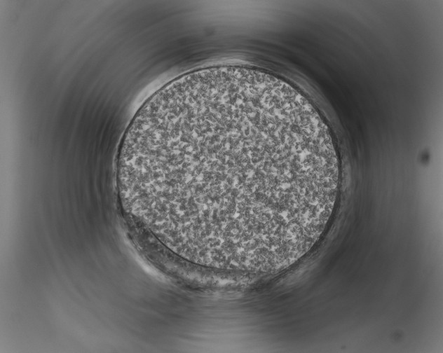 X0000114590858200911301358