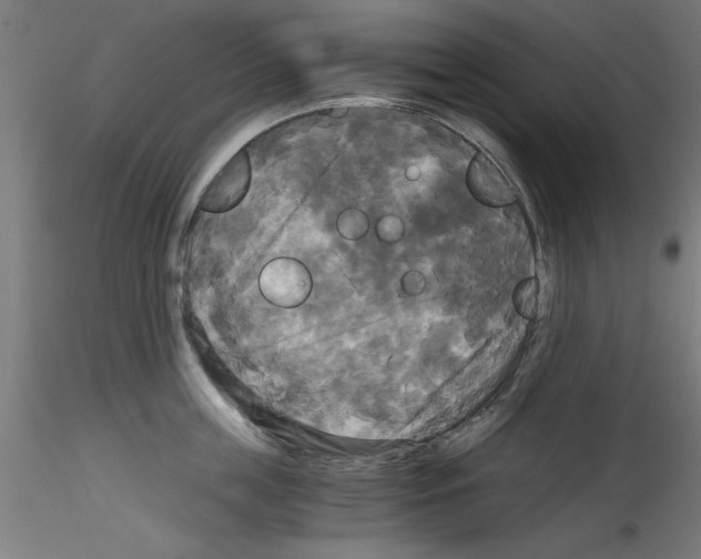 X0000114590859200911301358