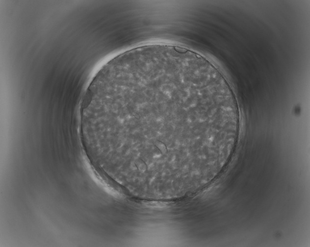 X0000114590862200911301358