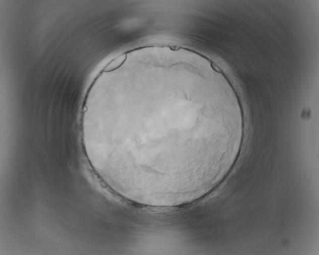 X0000114590864200911301358