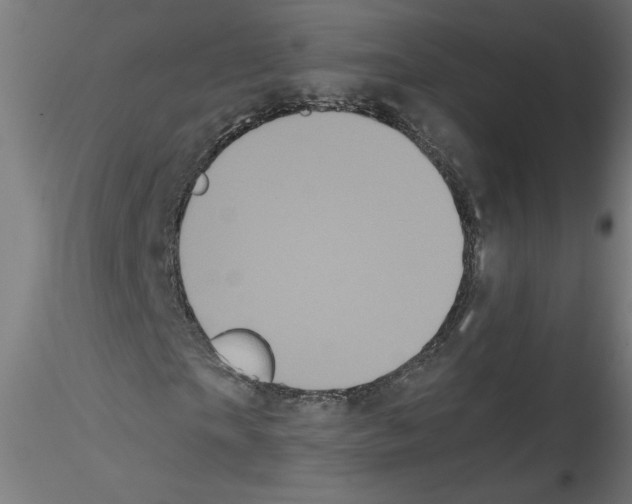 X0000114590865200911301357