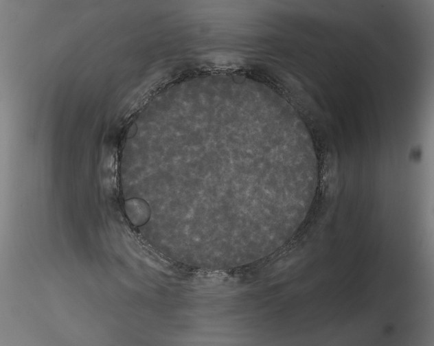 X0000114590866200911301357