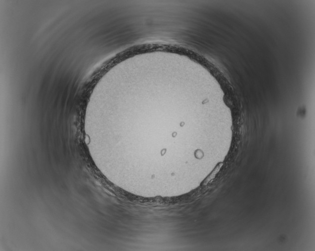 X0000114590872200911301357