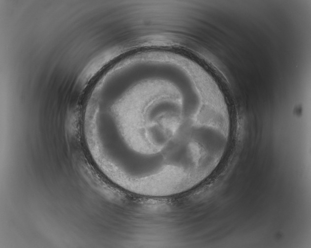 X0000114590874200911301357