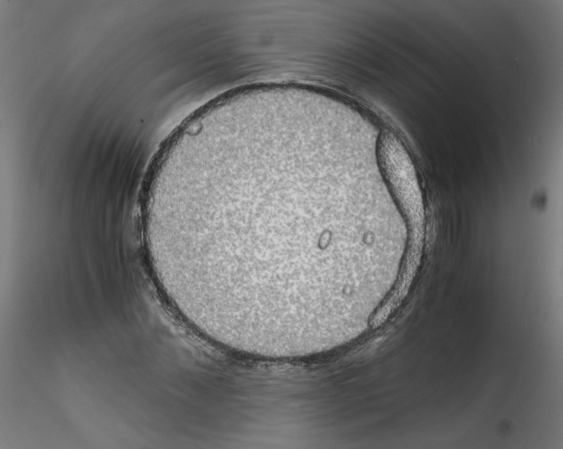 X0000114590876200911301357