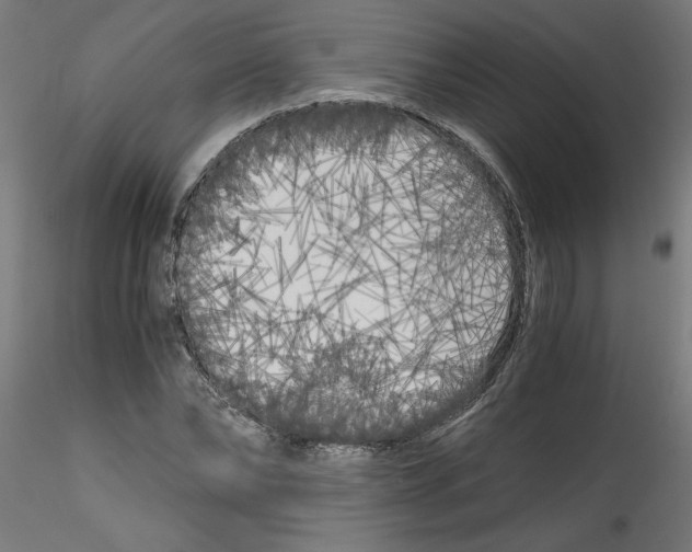 X0000114590878200911301357