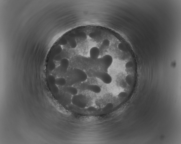 X0000114590879200911301357