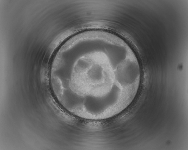 X0000114590882200911301357