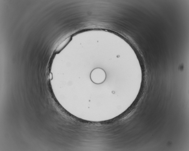 X0000114590885200911301357