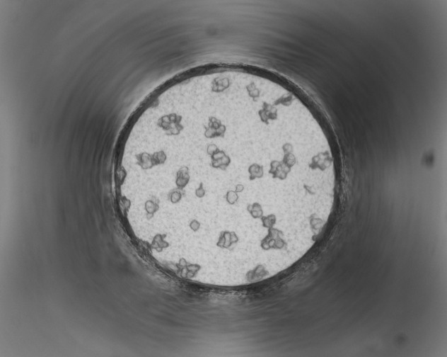 X0000114590887200911301357