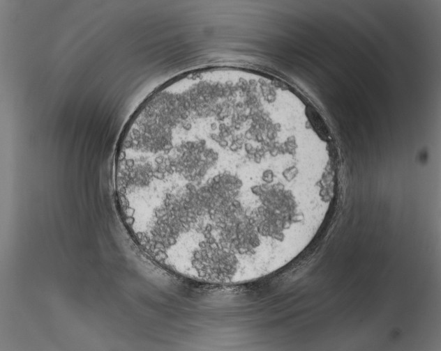 X0000114590891200911301357